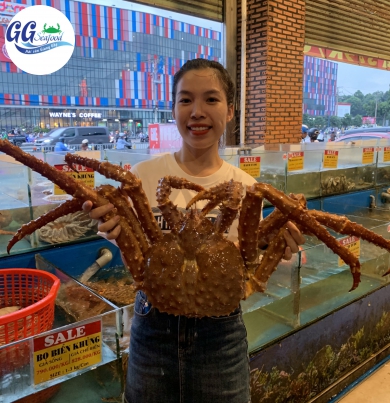 KING CRAB  KHỦNG (Size 1-2.5 Kg/Con)